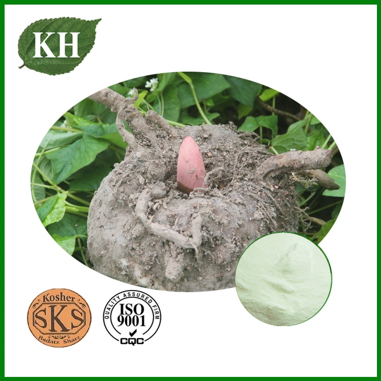 Konjac Extract; Konjac Glycan; Konjac Glucomannan by UV