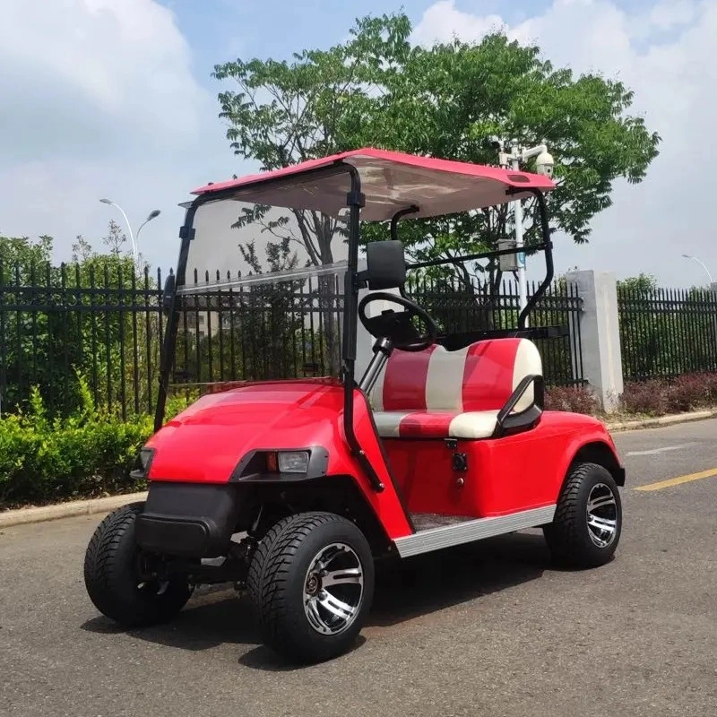 CE Approved 2 Passenger Electrical Scooter Sightseeing Car Electric Golf Cart Vehicle