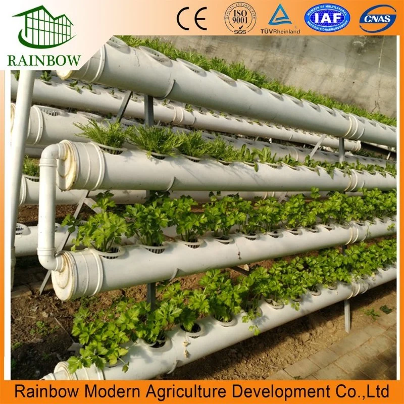 Vertical Nft Hydroponics Farming Growing System for Green Leaf Vegetables/ Celery/ Lettuce