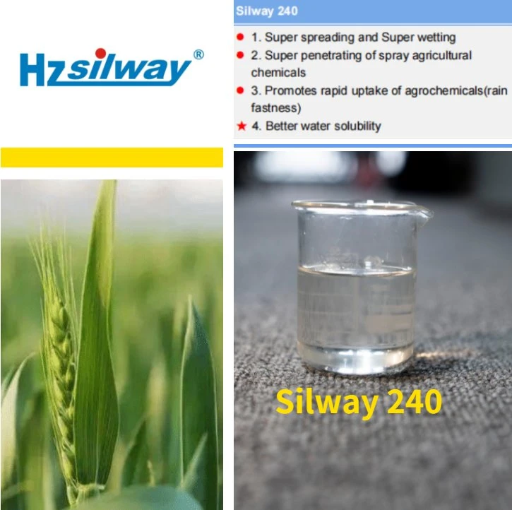 Silicone Spray adjuvant Silway 240 Polyéther Trisiloxane pour fongicides