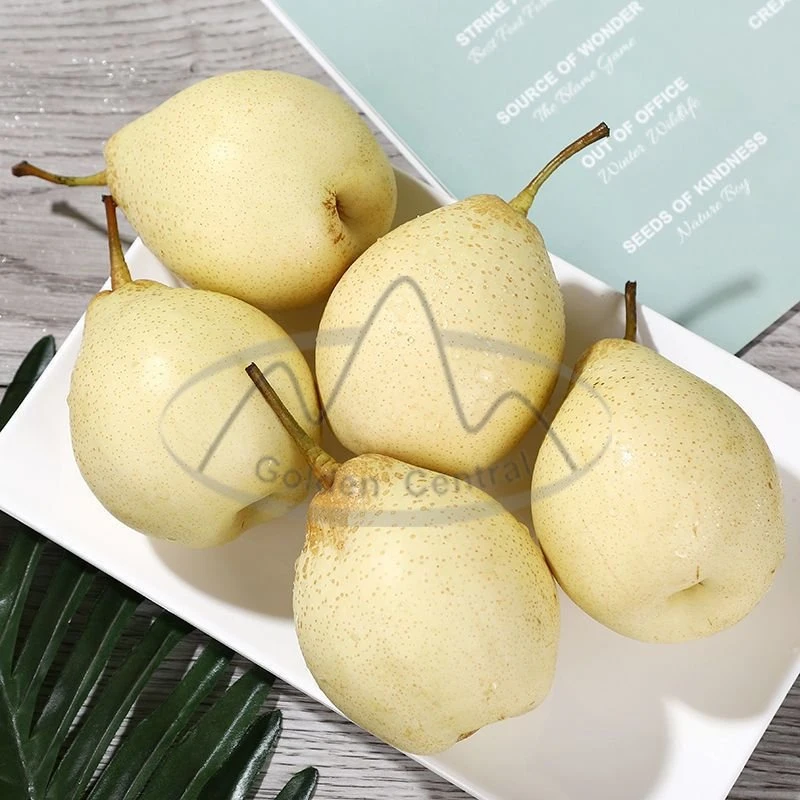 Fresh Hot on Sale Chinese Fruit A Grade Yellow Ya Pear