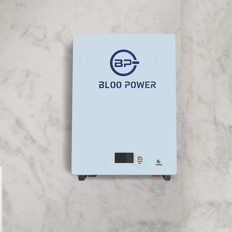 Bloopower 12V 12,8V 24V 36V 48V 60V 72V 50Ah 100Ah 120Ah 150ah 200Ah 400ah 500Ah LiFePO4 Lithium-Ladegerät für Solar Wall System Energy Stoarge Battery
