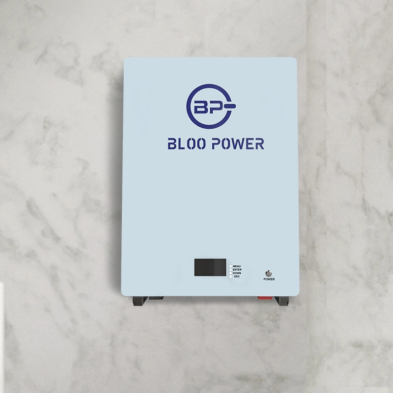 Bloopower 12V 12,8V 24V 36V 48V 60V 72V 50ah 100ah 120Ah 150ah 200ah 400ah 500Ah LiFePO4 Cargador de litio para Solar Sistema de pared Energía batería Stoarge