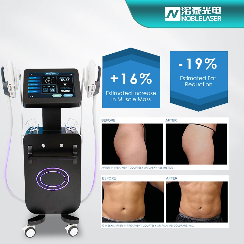 New Professional Electric EMS Deep Muscle Stimulator Machine