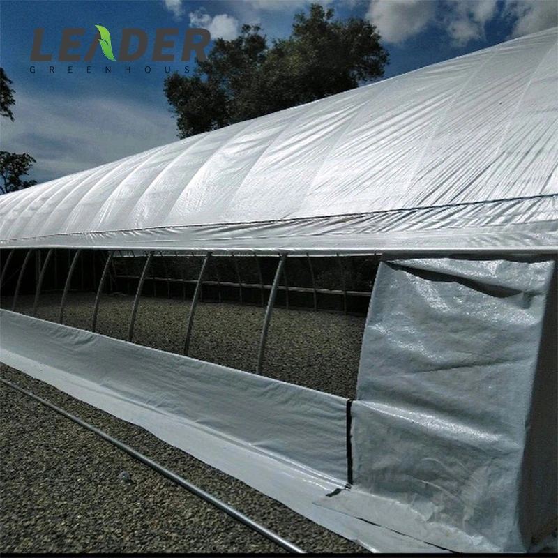 Low Cost Durable Single-Span China Vegetable Tunnel Greenhouse