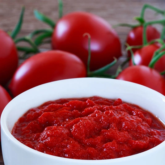 Preço de fábrica de Molho de Tomate em Conserva Ketchup.