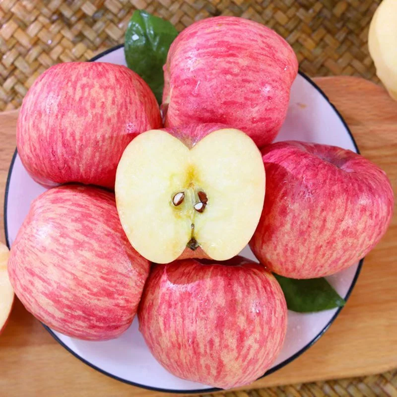 Yantai Origin New Crop FUJI Apple Food Grade