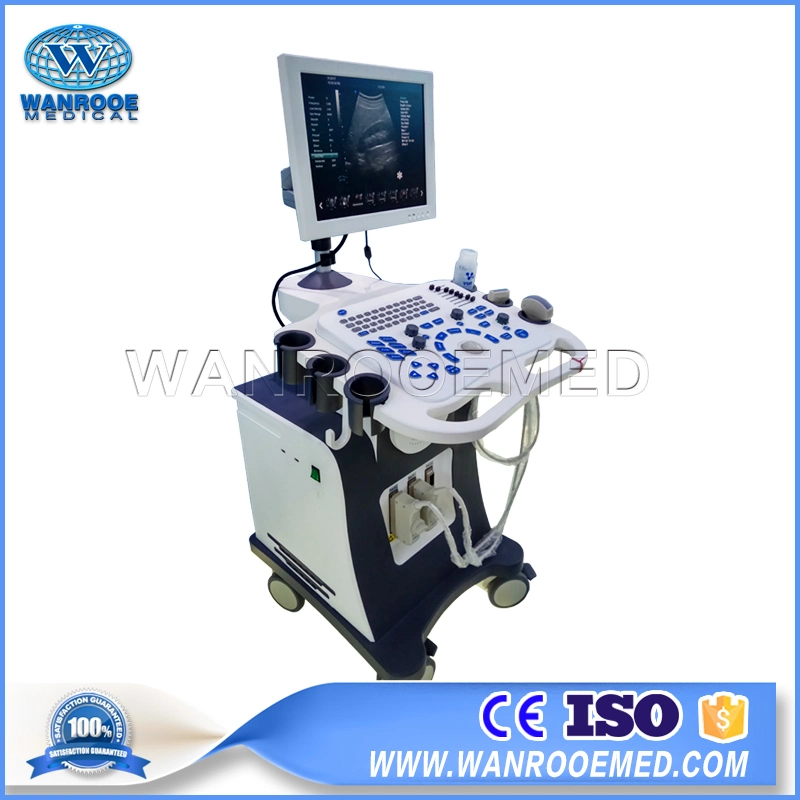 Usc80 Hospital 128 Element Diagnostic Digital Portable 4D Color Doppler Fetal Ultrasound Machine