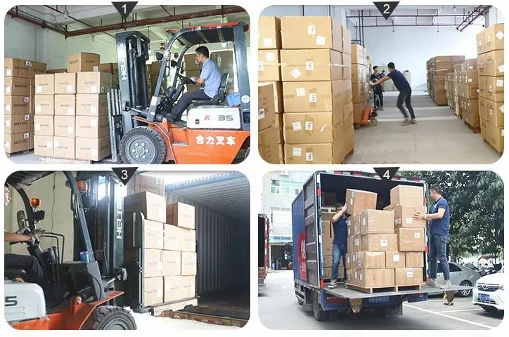 Logistics/Freight Forwarding/Low and Safe Transport Cost Delivery Cargo Sea Shipping From China to United States, Canada, Mexico, Europe, Southeast Asia