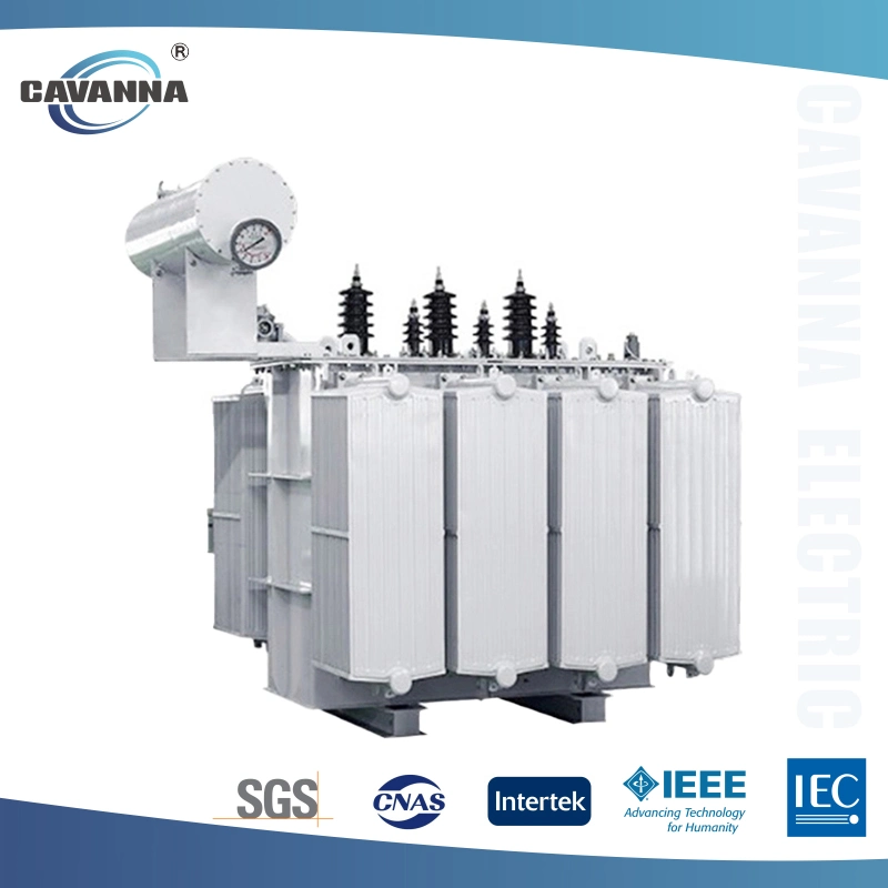 Efficient Power Transmission with S11 Oil-Filled Transformers (500kVA to 2000kVA)