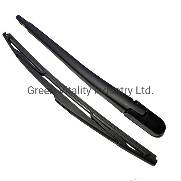 Auto Parts Car Accessories Windscreen Wiper Plastic Injectoin Mould