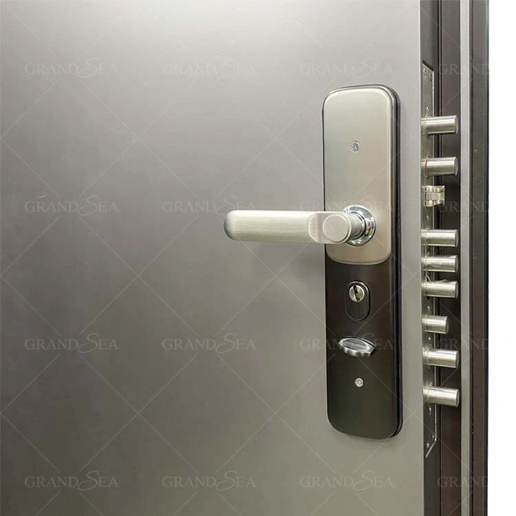 Villa Anti-Theft Security Custom Modern Other Steel Entry Door with Multi-Point Lock