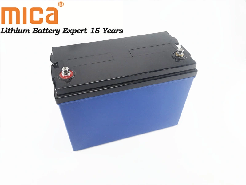 Green Rechargeable 24V 80ah 2kwh Lithium Iron Phosphate Battery Pack LiFePO4 Battery ABS Case