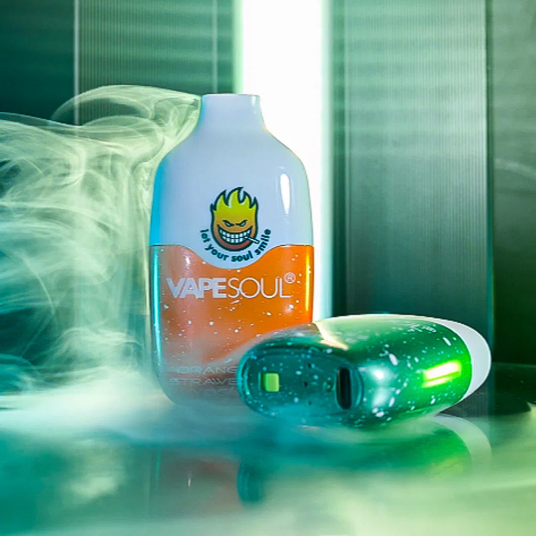 Vapesoul Mesh Plus قابلة للغسل في Vape تدخين إلكتروني في القرد Vape أتومازر قابلة لإعادة الشحن قلم Vape من السيراميك