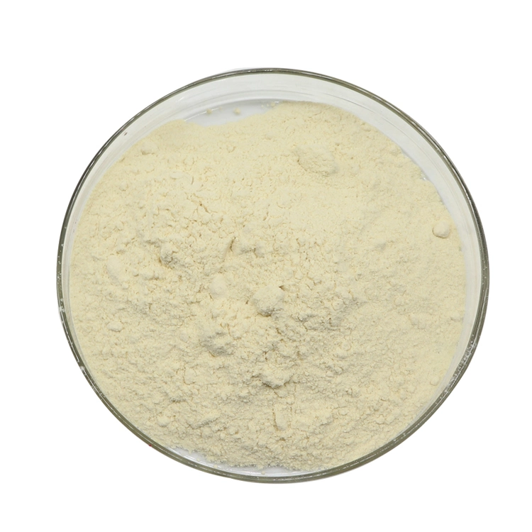 Xanthan Gum Food Thickener/Cosmetic Grade/Oil Drilling Grade on Sale