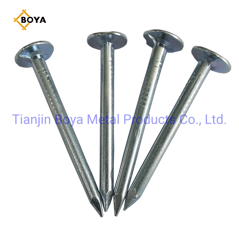 China Galvanized Large Head Clout Nails /Big Head Nail/Roofing Nail