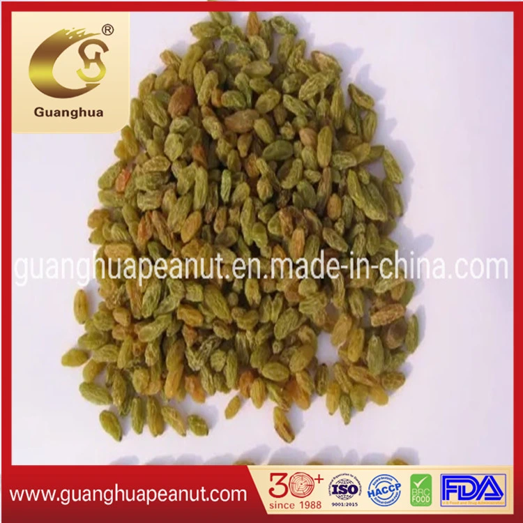 Healthy and Original Green Raisin From China