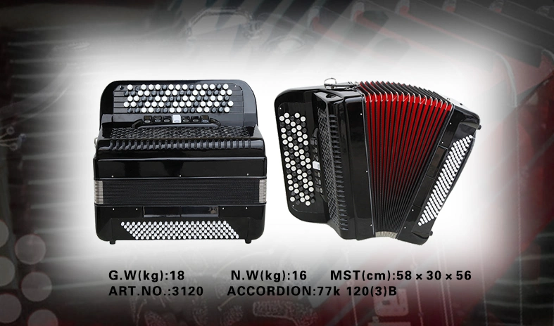 Accordion/ Keyboard Accordion / 120 Bass /Keyboard (CA3120)