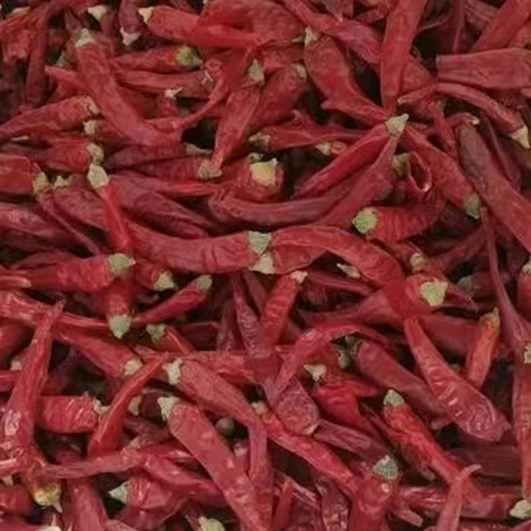 High Pungency Dried Red 819 Chilli Whole