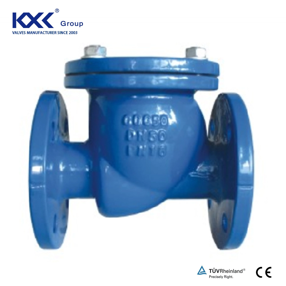 DIN Ductile Iron Di Ball Type Check Valve with Flanged Ends Check Valve