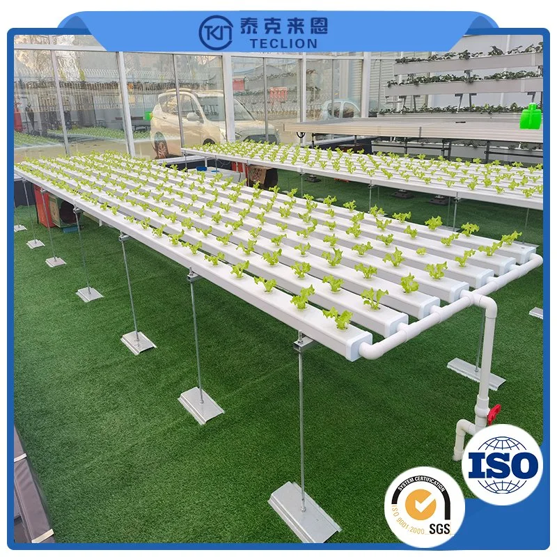 Strawberry Hydroponic Culture System in Greenhouse Is Hot, and Hydroponic Culture Channel in Farm