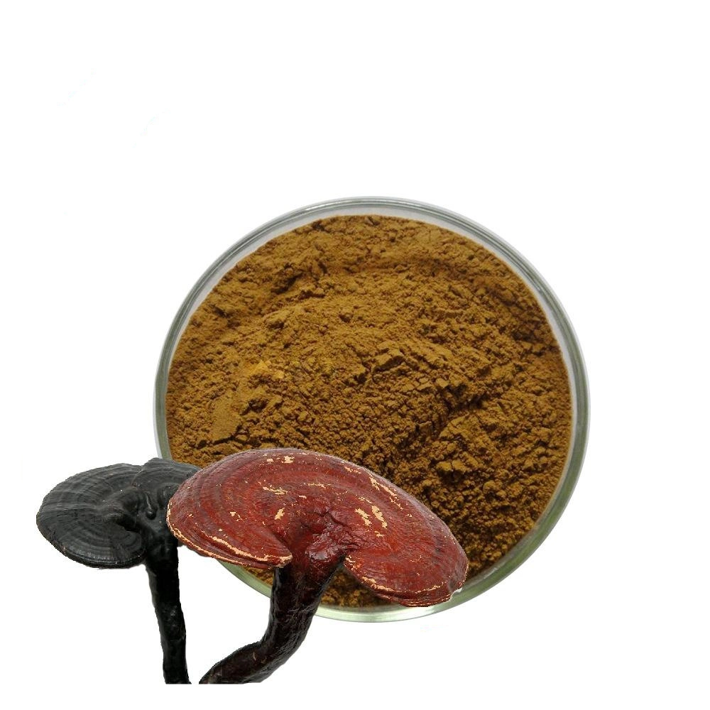 OEM Reishi Mushroom Spore Powder for Improve Immunity System