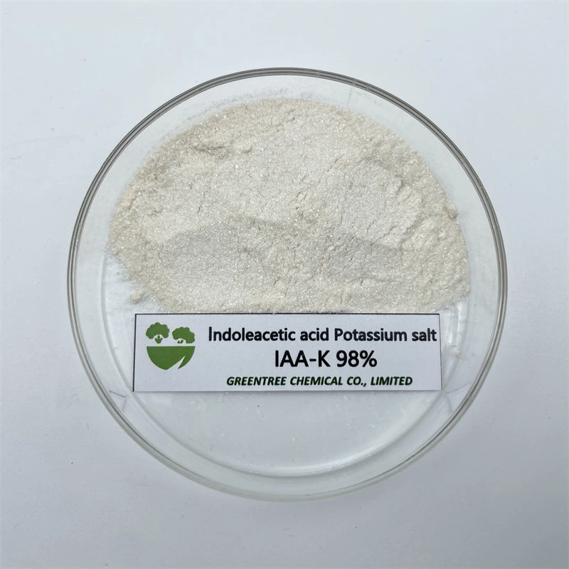 Cas 2338-19-4 régulateur AUXIN usine acide indolacétique sel de potassium IAA-K. 98 %