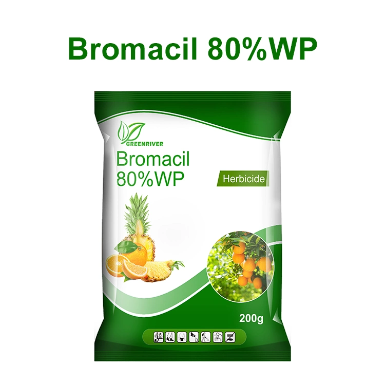 Greenriver Factory Price Herbicide Bromacil 95%Tc 80%Wp CAS 314-40-9 Agrochemical