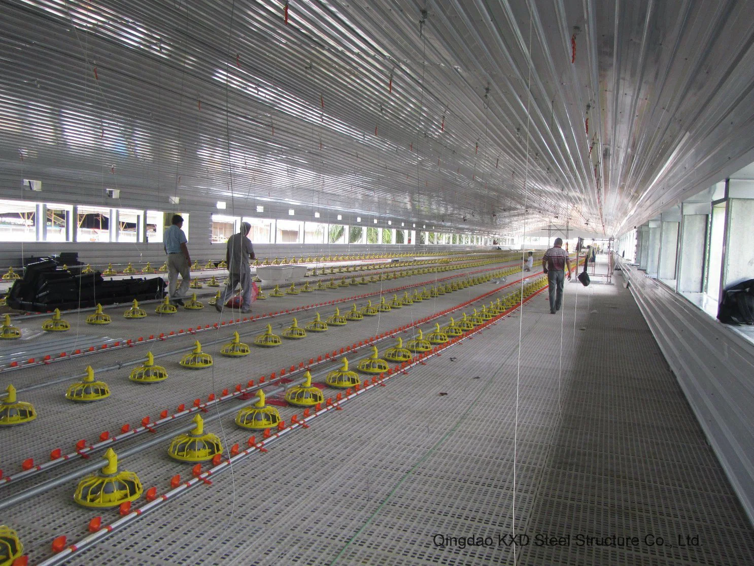 La luz de prefabricados de estructura de acero de la granja de aves de corral Gallinero (KXD-PCH1)