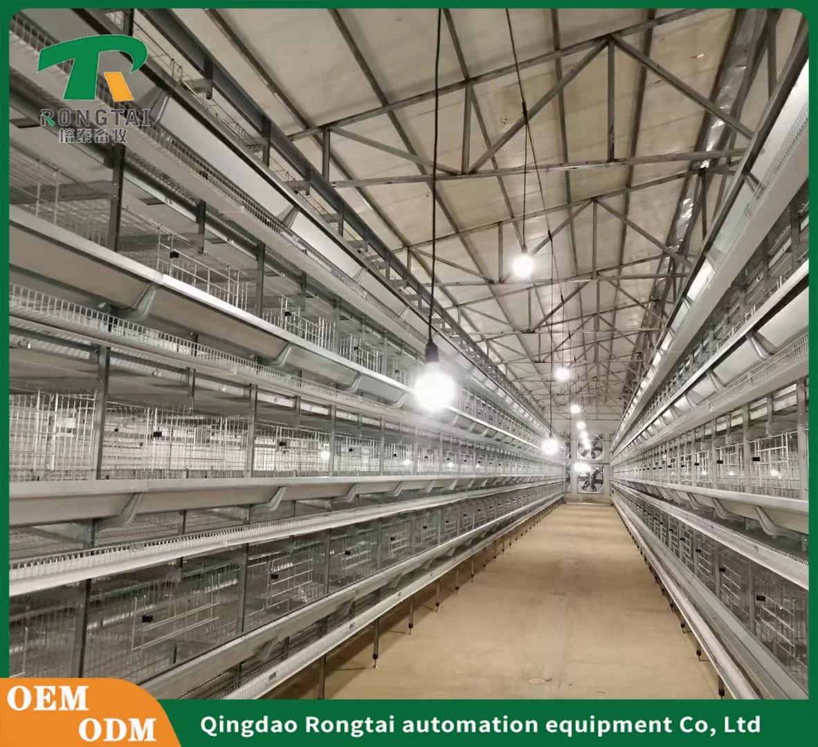 Factory Price Professional Automatic Chicken Broiler Battery Cage System for Sale