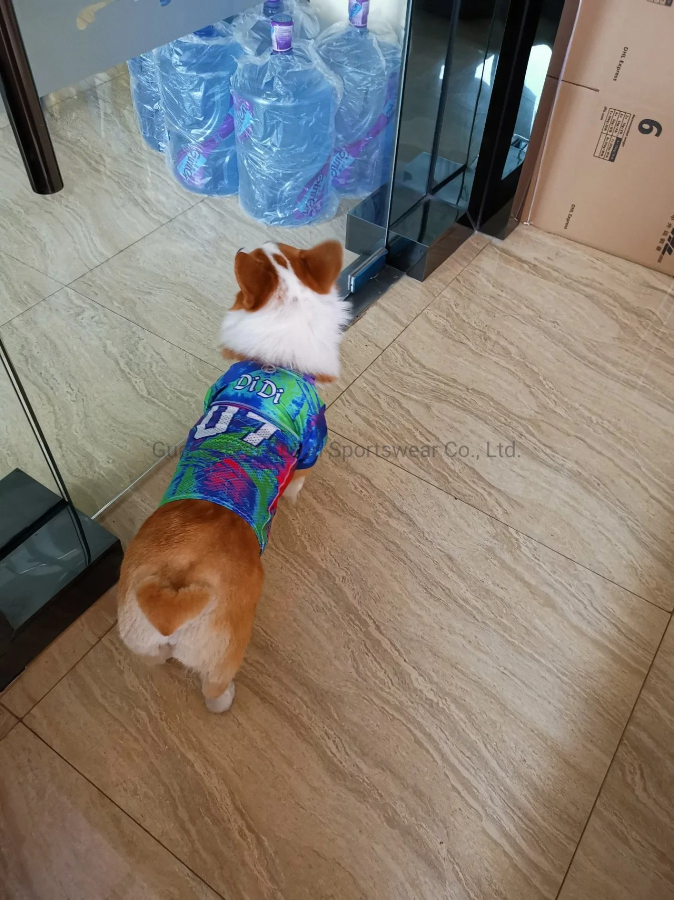 Polyester Dog Shirts Pet Clothing and Accessories Sublimation Pet Clothes