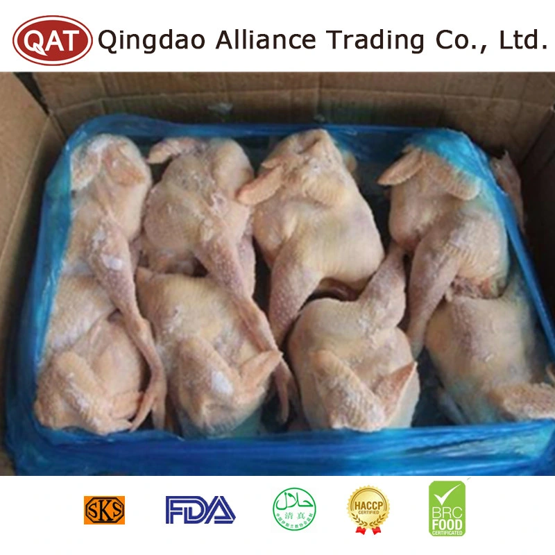 China Halal Frozen Whole Chicken with Skin with Bone Shawama Chicken Meat