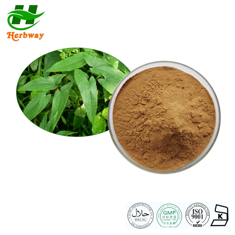 Herbway Herbal Extract Epimedium Brevicornum Maxim Isolated Icariin Factory Direct Sale Epimedium Extract