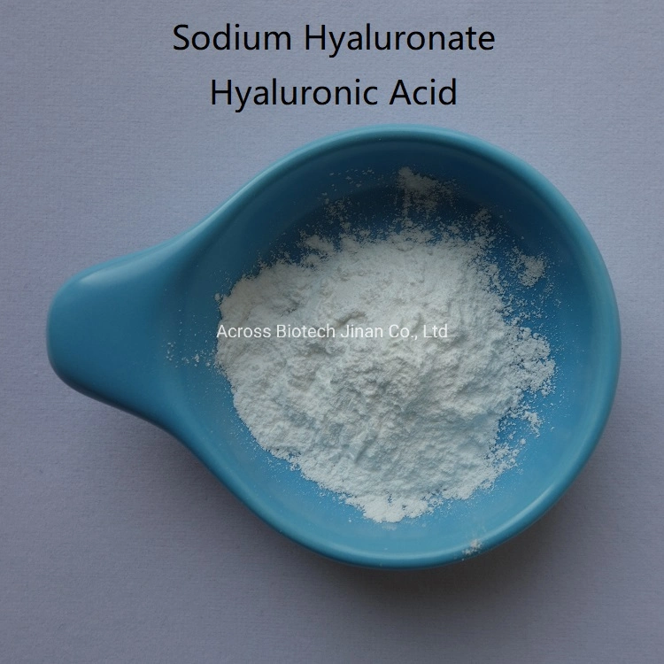 Sodium Hyaluronate Raw Powder Used in Food/Cosmetics/Medical Products