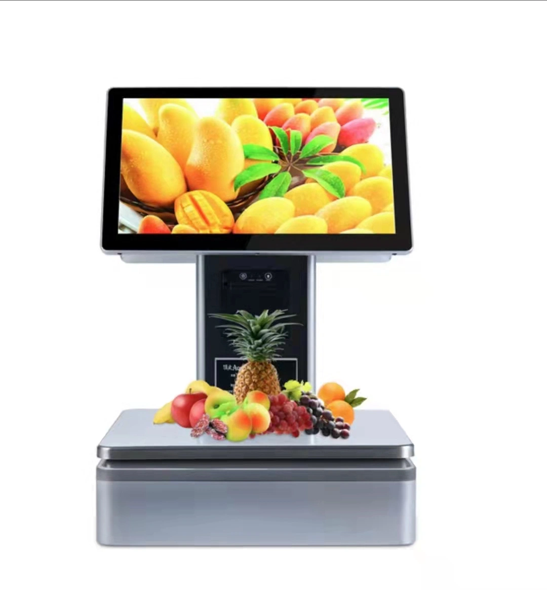 15.1 Inch All in One POS Machine Dual Screen Touch Cash Register Scale with Printer