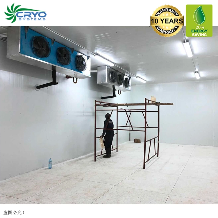 Soya Meat Chicken Feet Cold Storage for Pomegranate Modular Cold Rooms Manufacturers Home Walk in Freezer