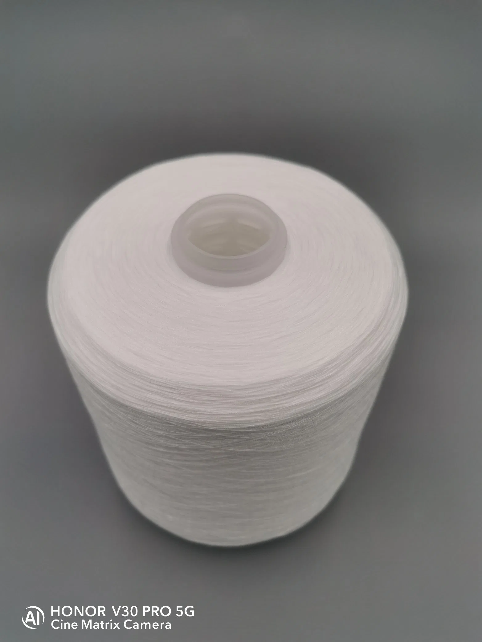 Garment Yarn 0.95kg Polyester Spun Yarn 202 203 402 for Vietnam Market