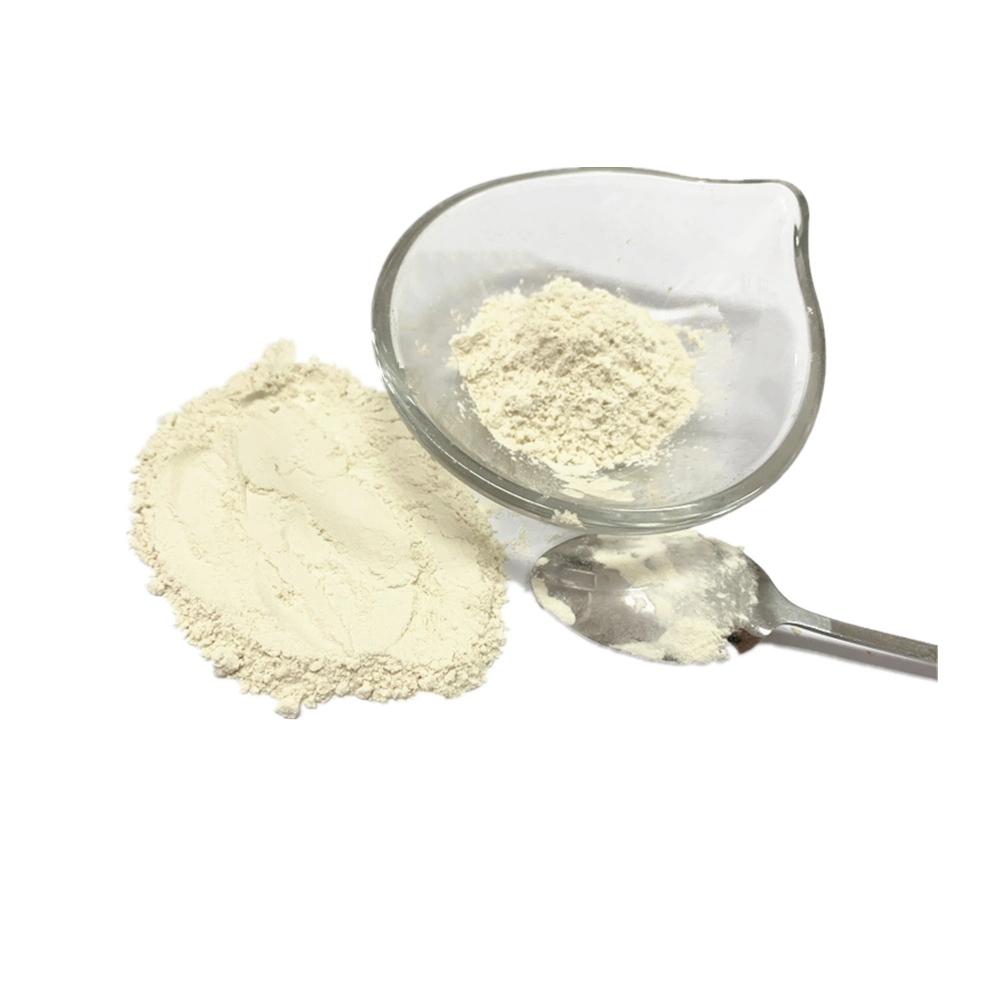 Chinese Dehydrated White Onion Powder