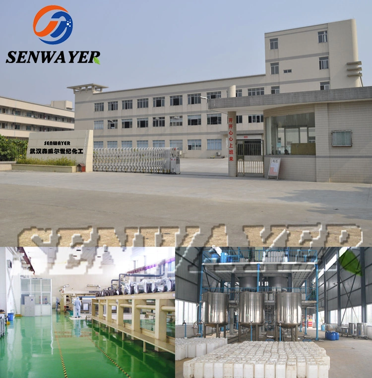 Wuhan Senwayer Manufacturer Nootropic Supplement API Powder CAS 77472-71-0 Phenylpiracetam Hydrazide in Stock