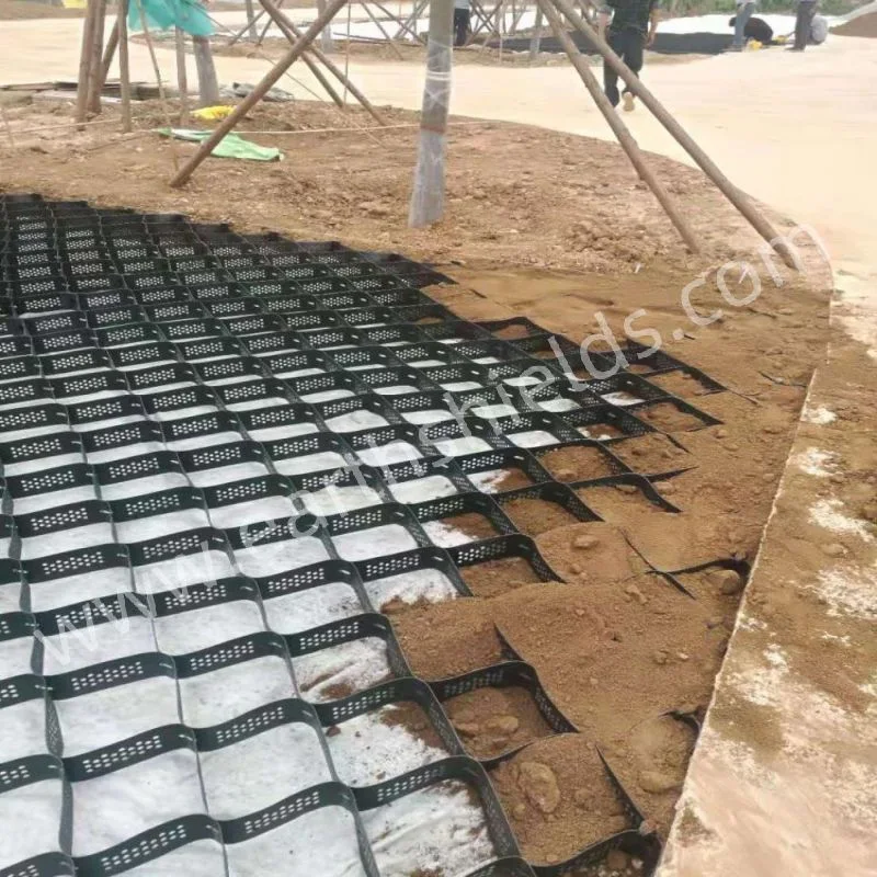 Proteção de inclinação de alta qualidade 100 mm HDPE Cellular Geocell para Estrada