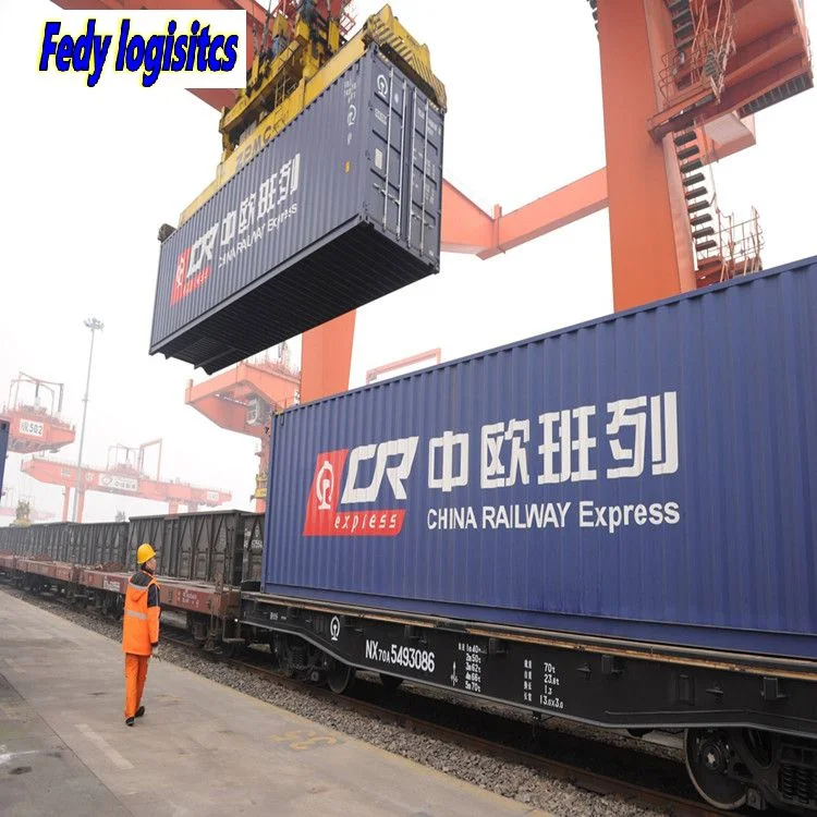 Raiyway Express, almacenamiento, la entrega de la generación One-Piece, distribución y transporte, aduanas, el asentamiento de China a Europa / Italia