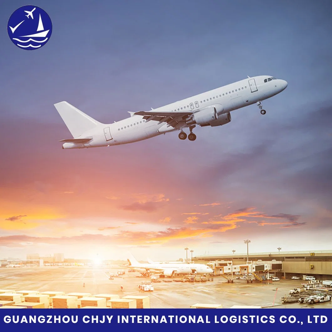 DDP Seefracht Versand von China nach Puerto Rico/Sint Maarten/Guyana/Haiti/Tortola/Salvador/Dominica Versand Durch Amazon Vertriebspartner Logistik Air Express Forwarder