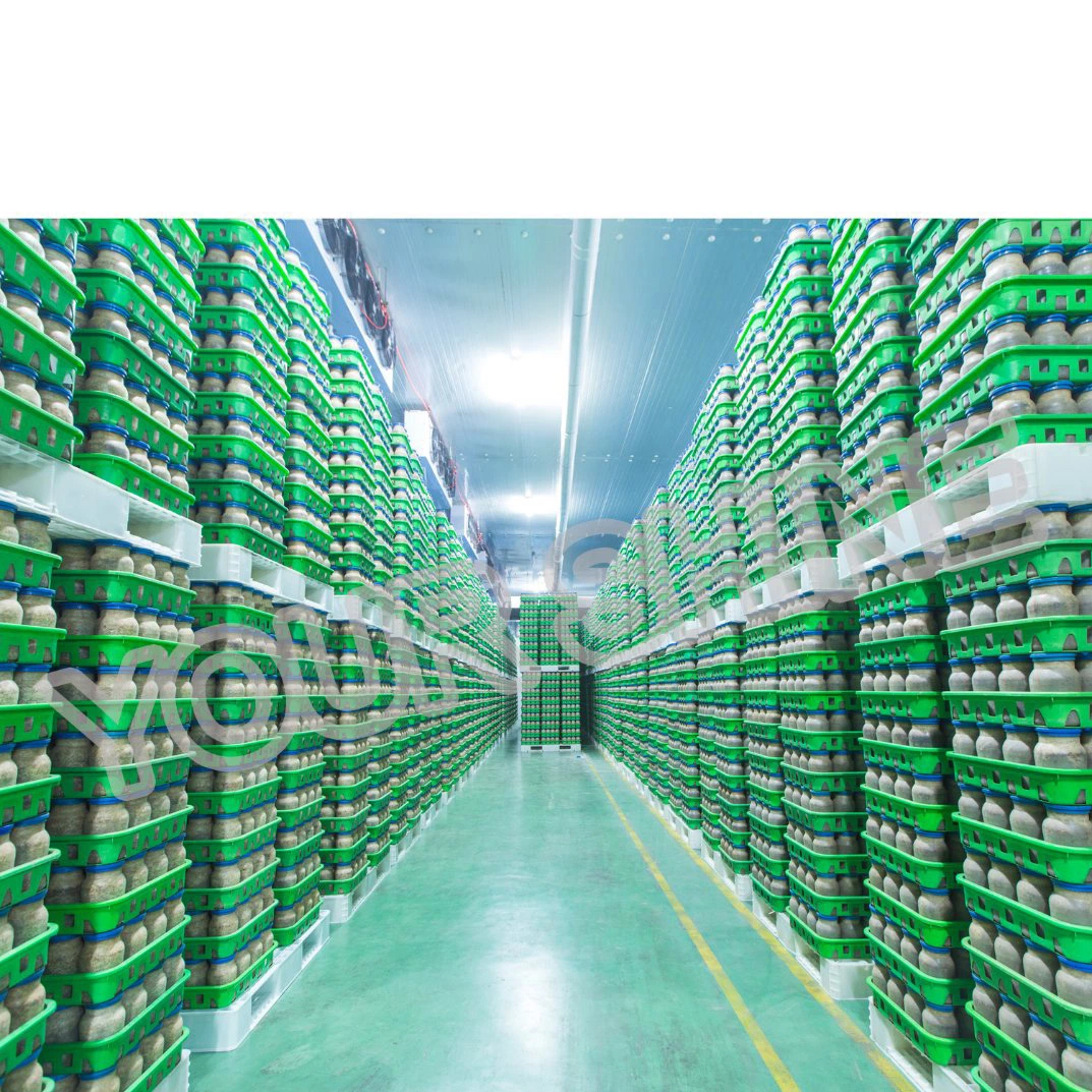 Prefabricated PU PUR/PIR Foam Cold Frozen Storage Warehouse Room Panel