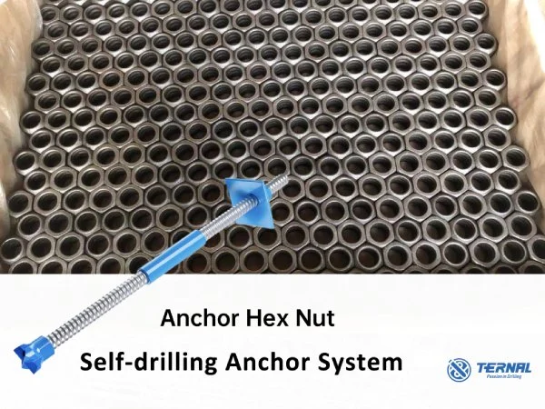 Self-Drilling Anchor Bolt Hexagonal Nut