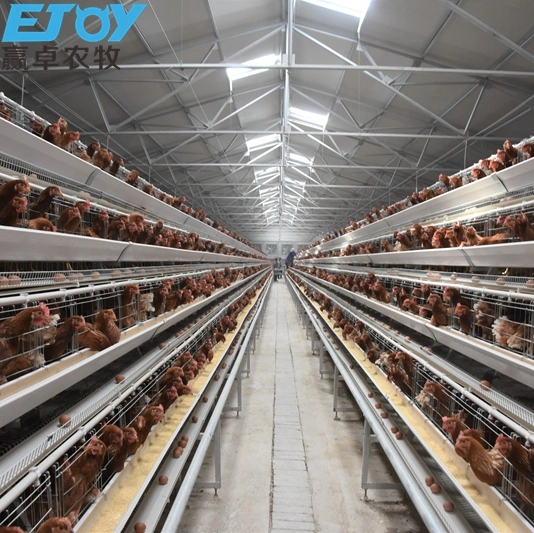 Etiopía granja de pollos de aves de corral de gallinas ponedoras las jaulas en batería de equipos para la venta