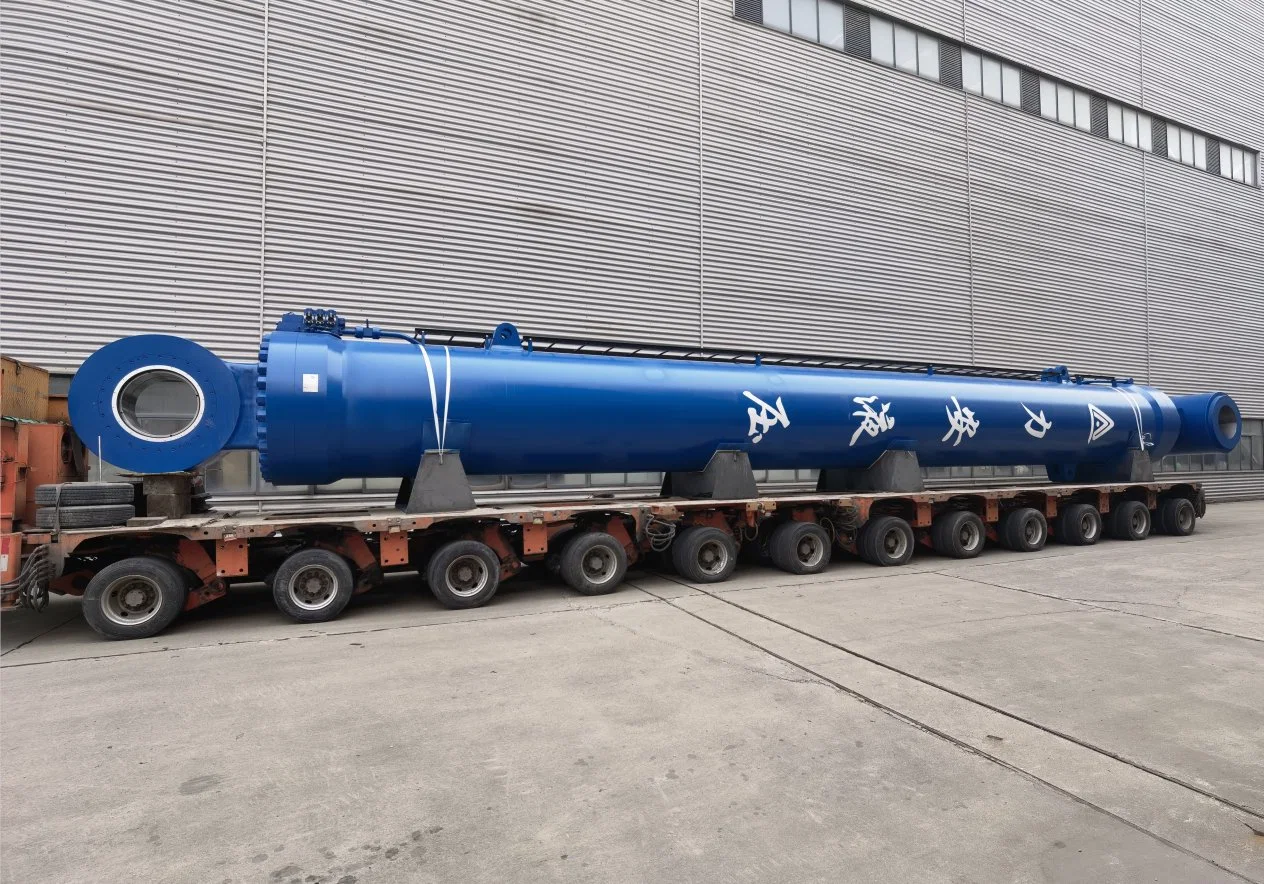 Stainless Large Hydraulic Hoist Cylinder for Ship and Dam Gate with Sensors