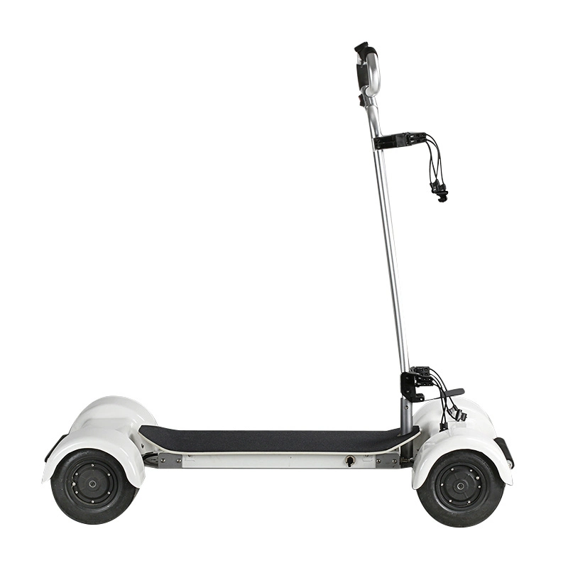 2023 Electric Four-Wheel Dual Drive 3000W Scenic Sightseeing Cruiser Scooter