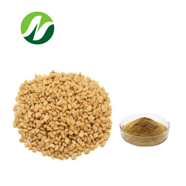 High Quality Best Selling 10%, 20% 50% Saponins Fenugreek Seed Trigonella Foenum Graecum Extract