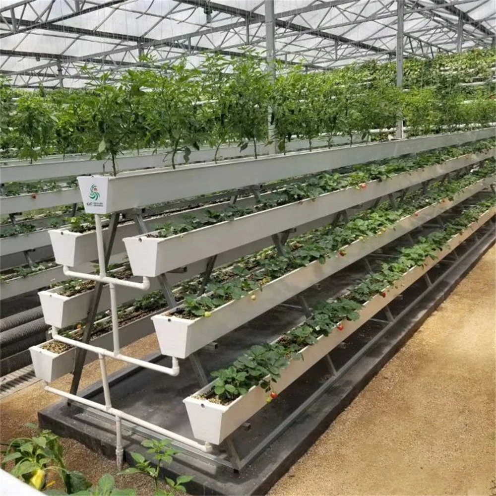 Commercial Strawberry Planting PVC Gutter Hydroponics Growing System