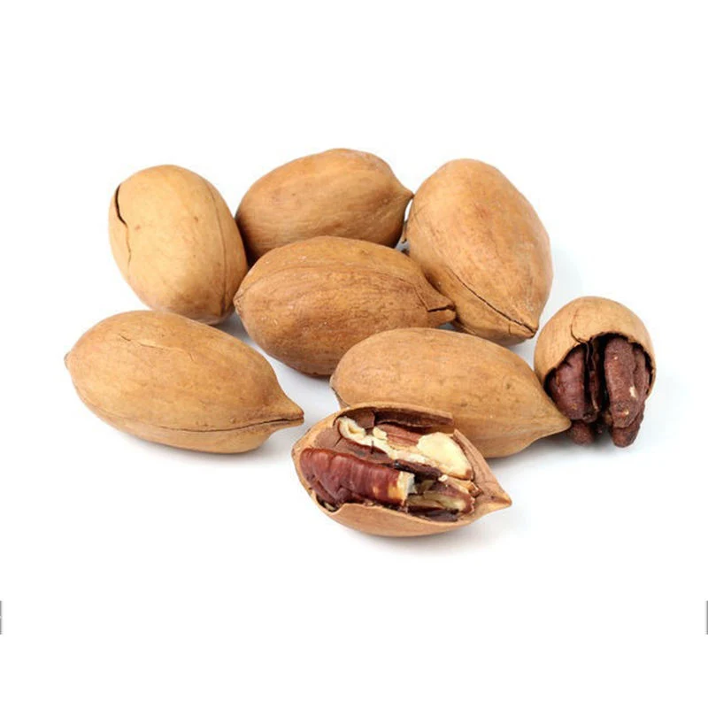 Roasted Bleached Pecans Directly Sale Factory